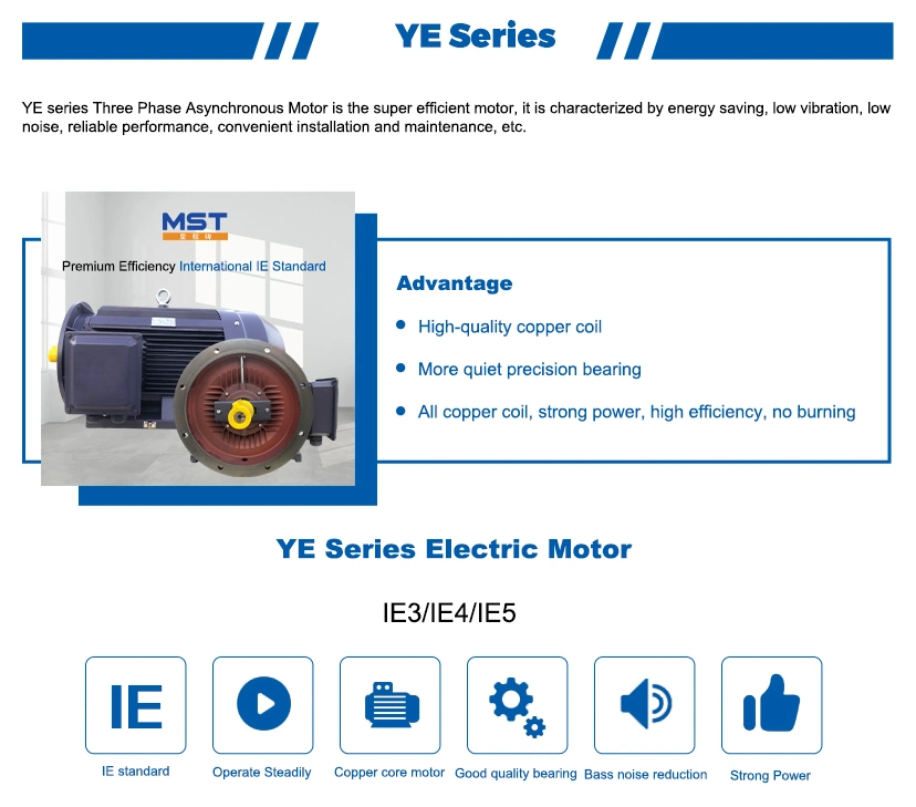 IEC Standard General Purpose 18.5kw Three Phase Induction Electric Motor